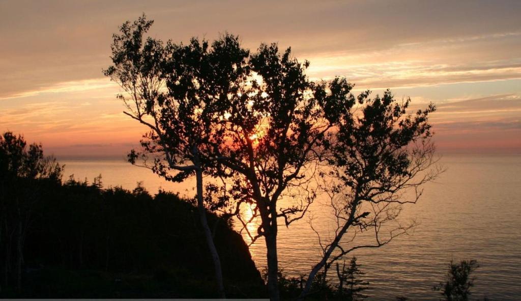 Cliffside Bed & Breakfast Culloden Esterno foto